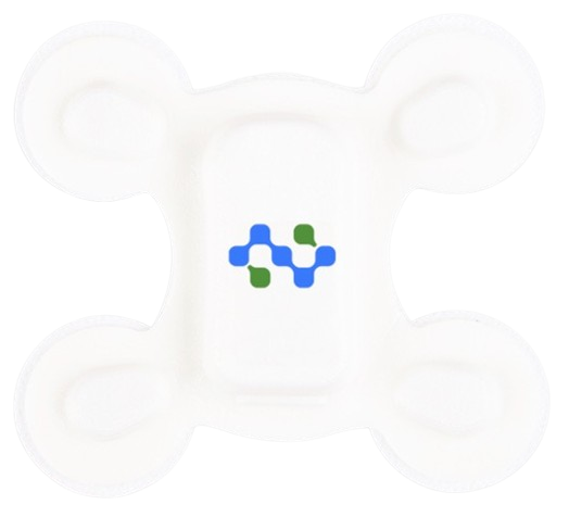 Holter monitoring software device – Life Signals patch recorder connected to CardiacCloud AI ambulatory ECG platform
